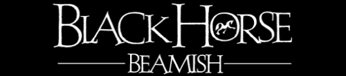 The Black Horse Beamish